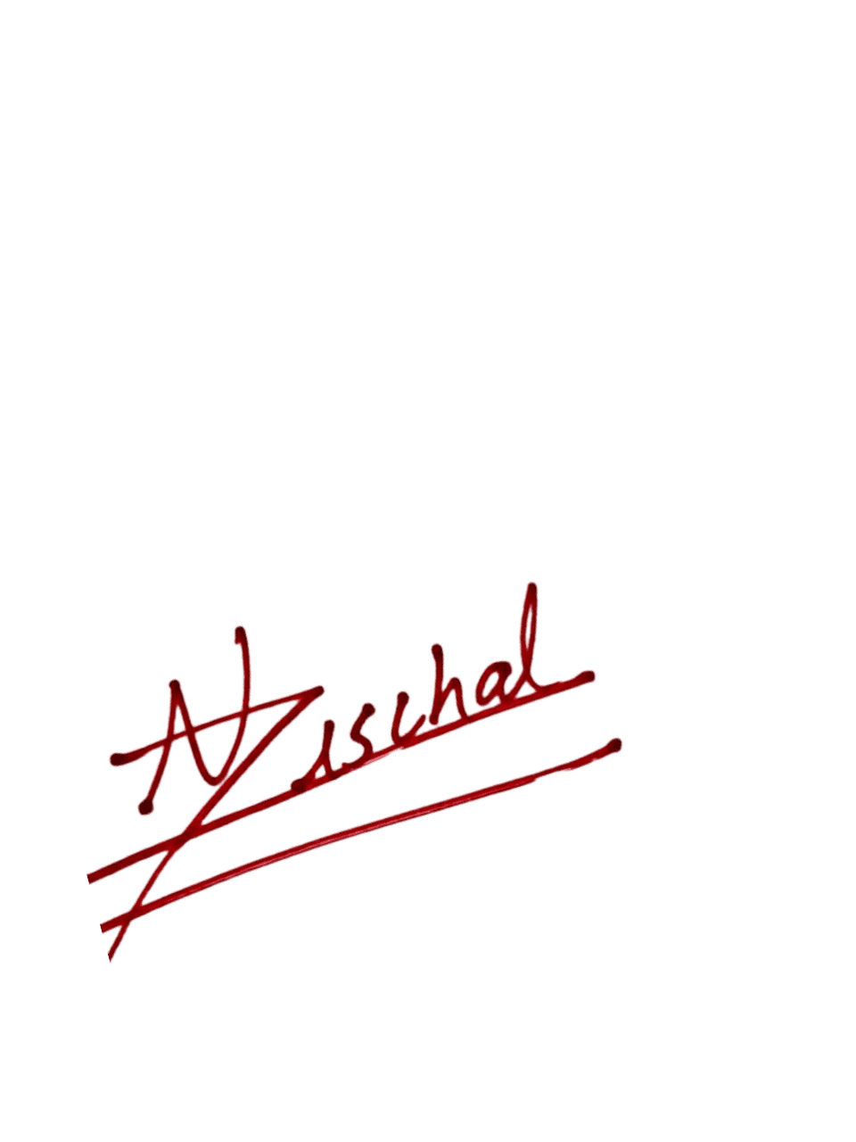 Mr. Nischal Panthi signature
